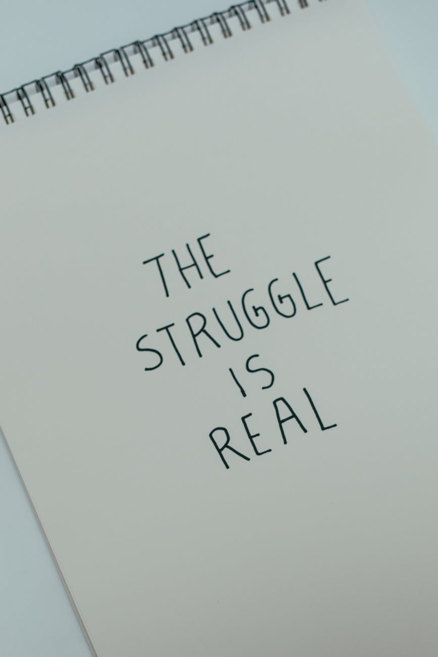 Back & Better: Lessons Learned & Bigger Moves Ahead